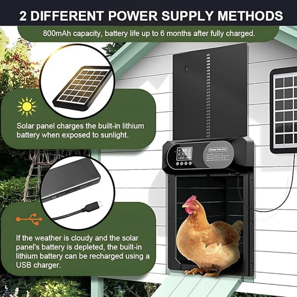 Large Size Automatic Chicken Coop Door Solar Powered LCD Dispaly & Light Sensor