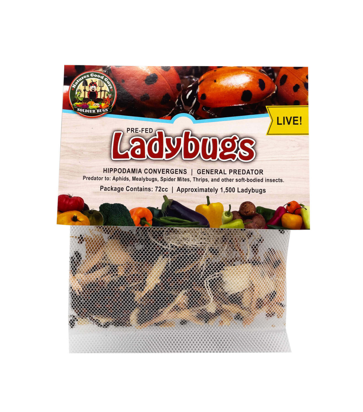 NaturesGoodGuys - Live Ladybugs - General predators