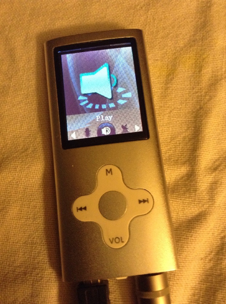Eclipse Portable Media Player w/cables For Avaya Phone System