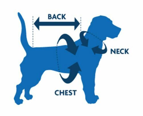 DOG HARNESS DRESS SUMMER BUNNY NEW HANDMADE FREE SHIPPING