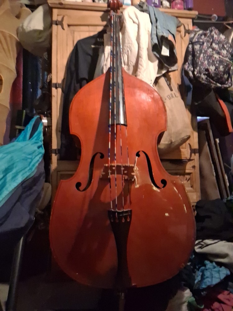 Bass Cello