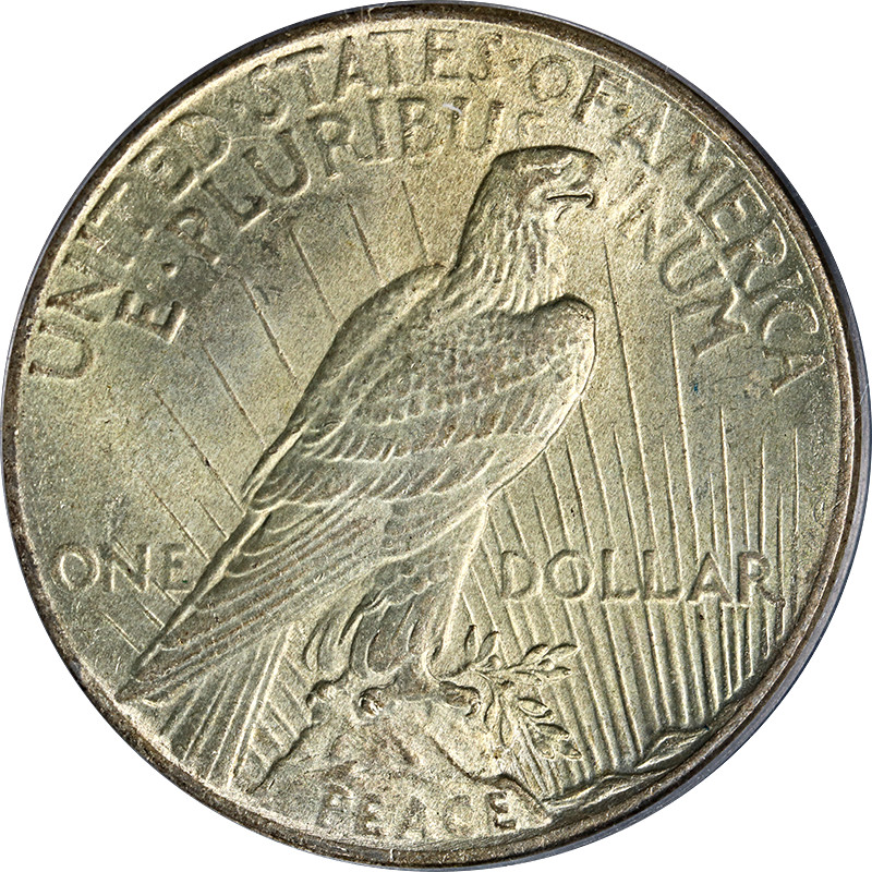 1925-P Peace Dollar PCGS MS64 - Toning