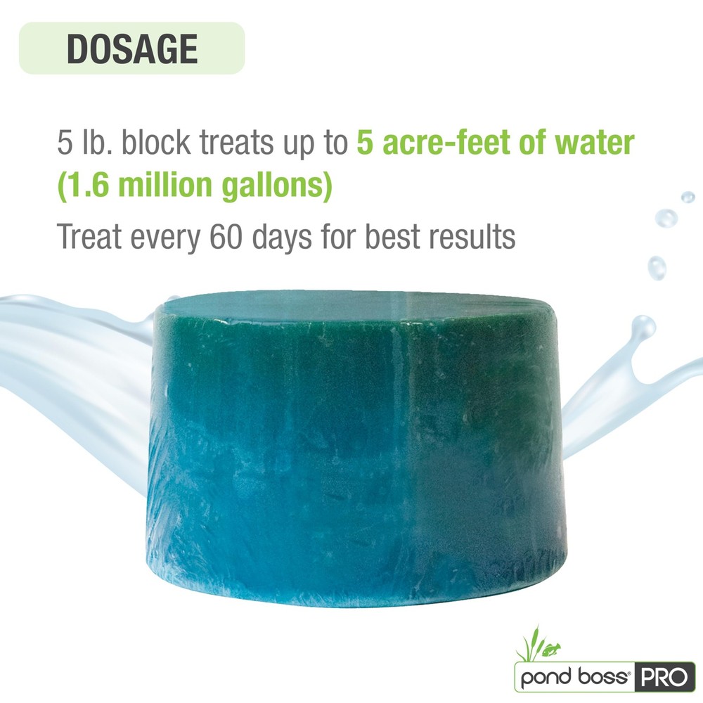 Pond BOSS CBBPR5 Pro Block Bacteria, 5-Pound 5