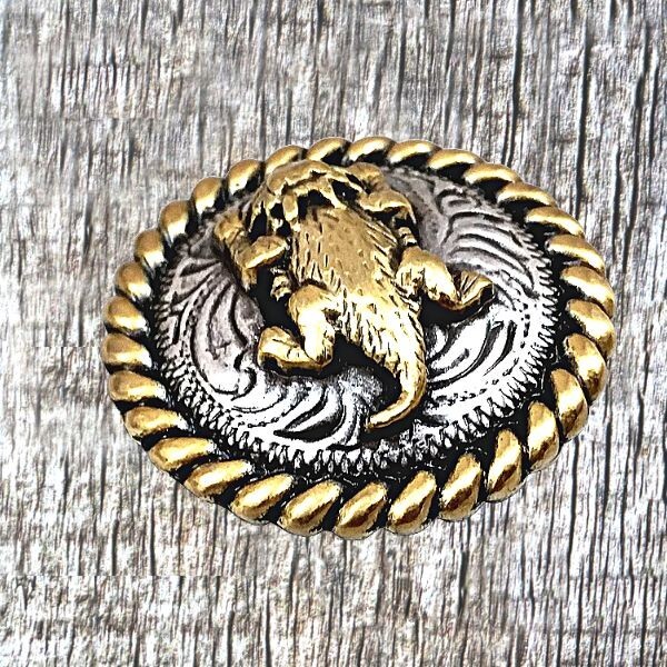 Texas Horned Lizard Horned Toad Concho CON961