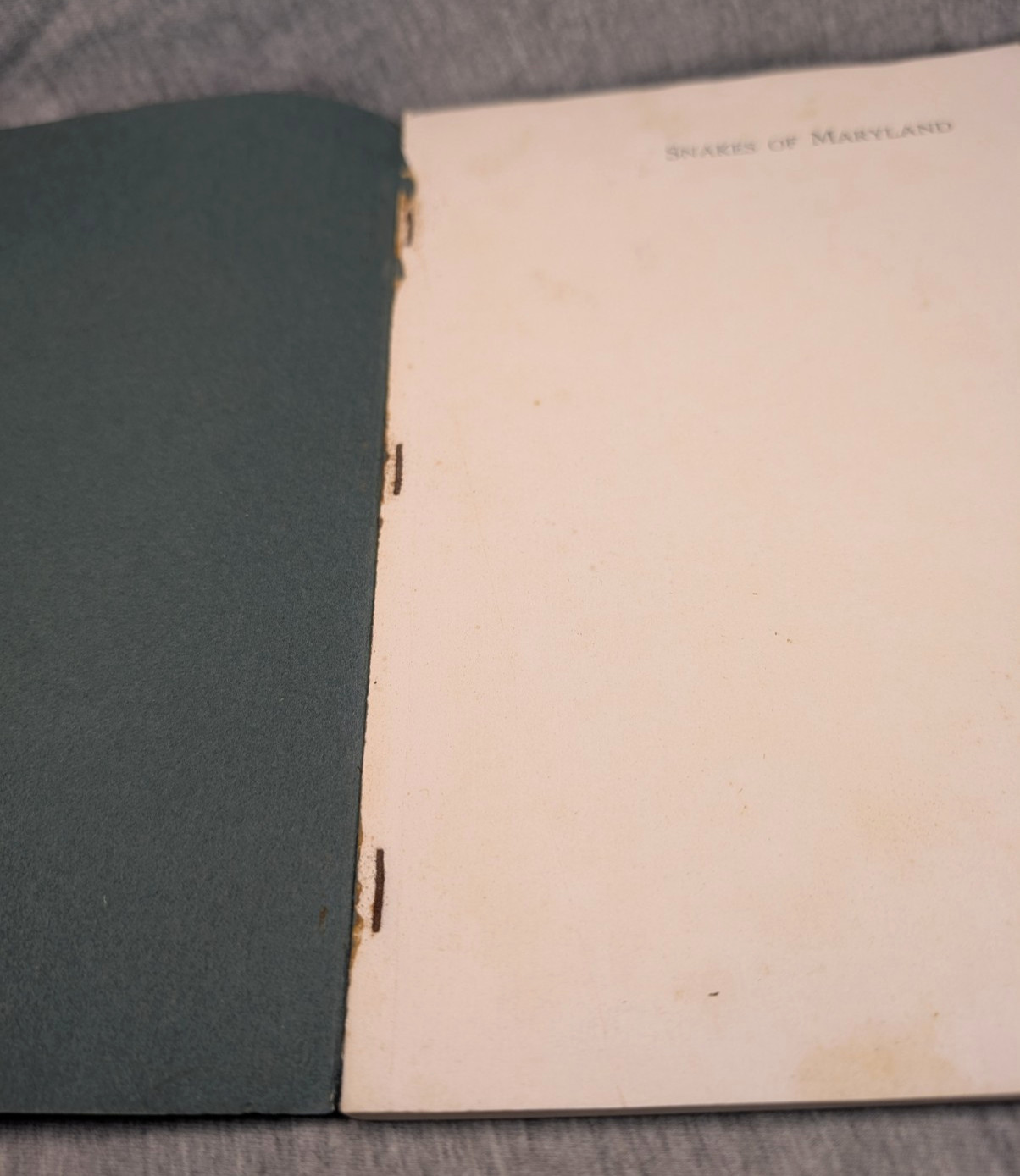 1936 Snakes of Maryland Illustrated Book Howard Kelly Color Plates 1st Edition