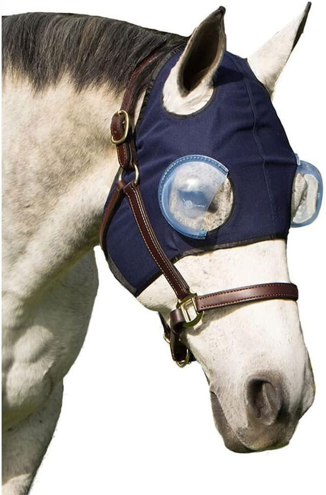 Eye Protection Recovery Hood