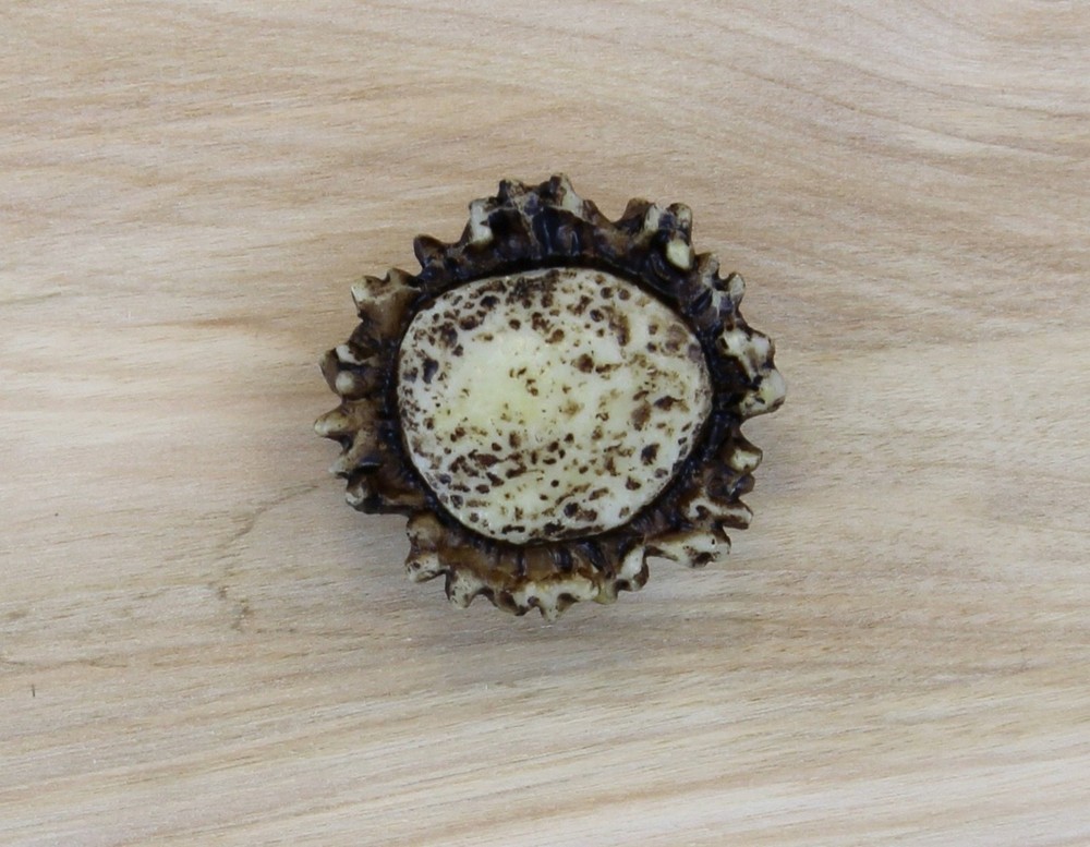 Old River Antler Drawer Cabinet Knobs 4 Pack with 2 Sizes of Screws