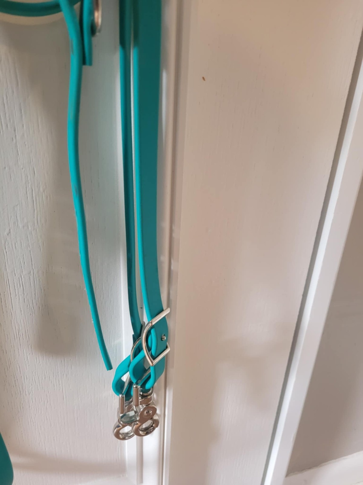 Two Horse Tack Teal Biothane Bridle and Snap Reins