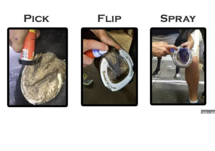 Groom’s Hand Thrush Solution Includes Attached Pick and Spray Solution