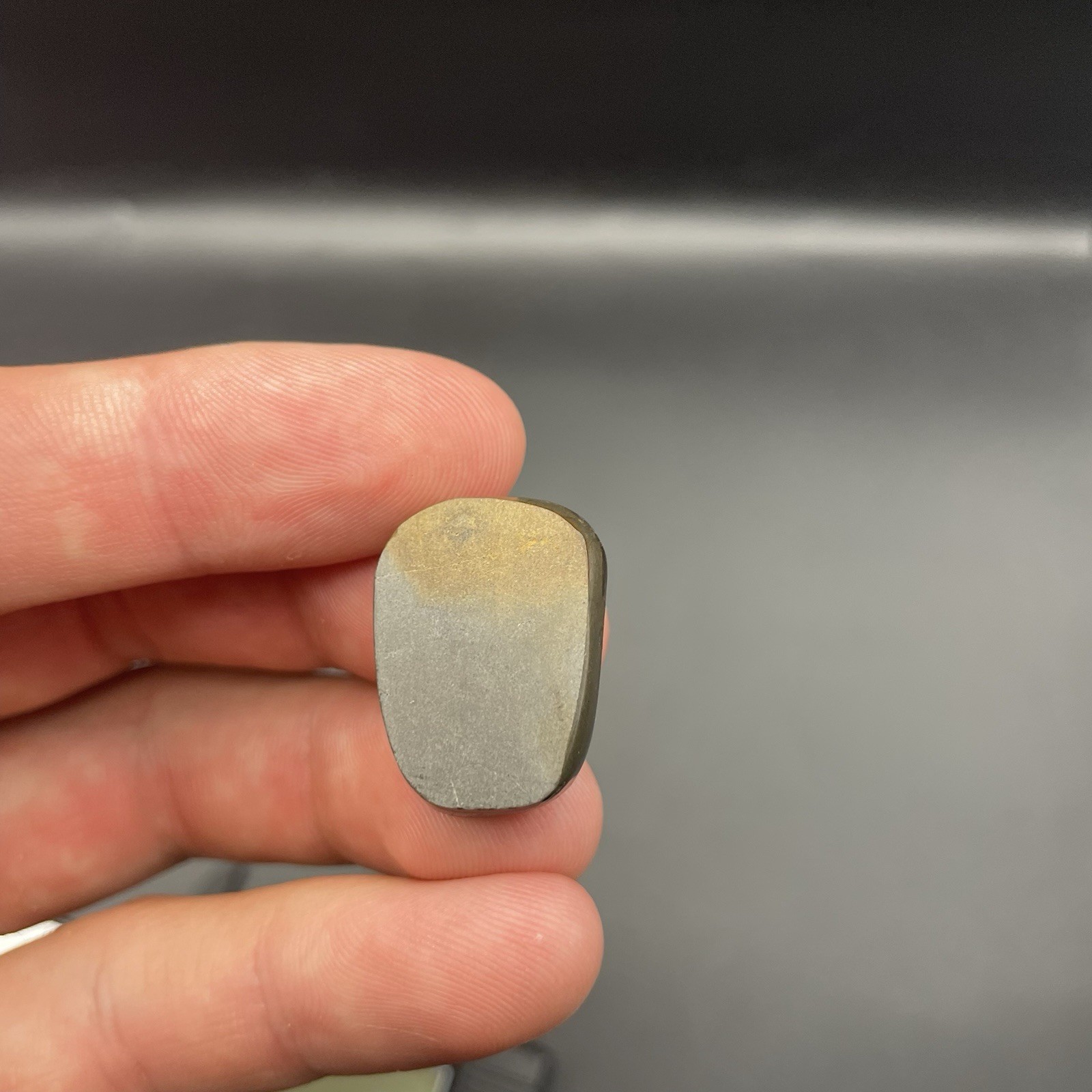 Ammonite Fossil Ammolite Alberta Canada Red Gemstone