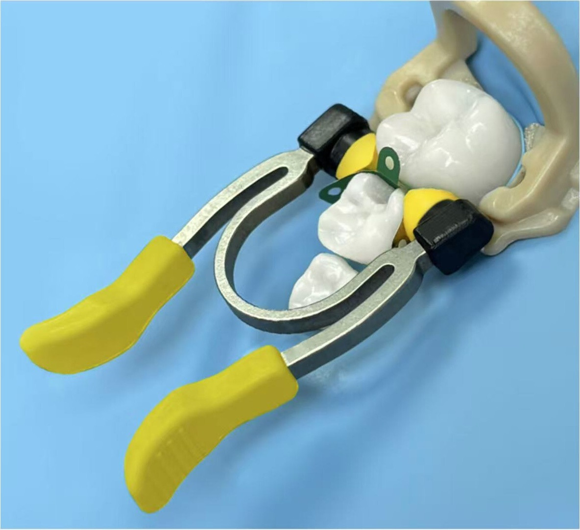 Dental Matrix Bands Ring Sectional Matrice Clamp Fit Garrison Palodent V3 System