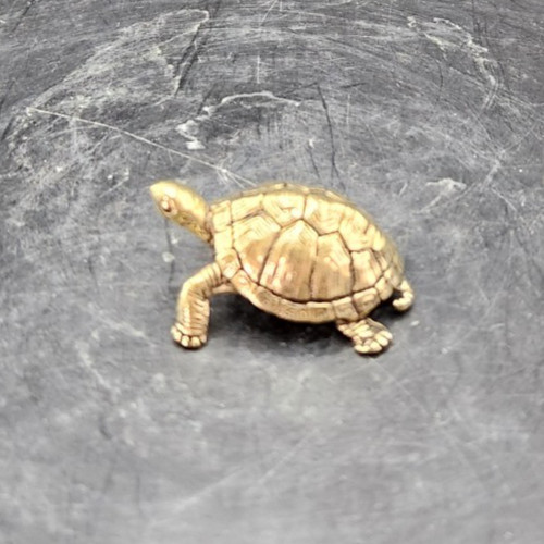 Miniature 1.5" Brass Box Turtle