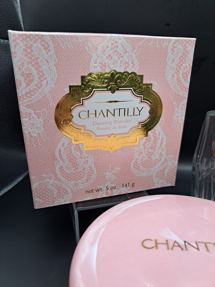 Vintage Chantilly Dusting Powder Box Solid Pink Plastic Case Empty