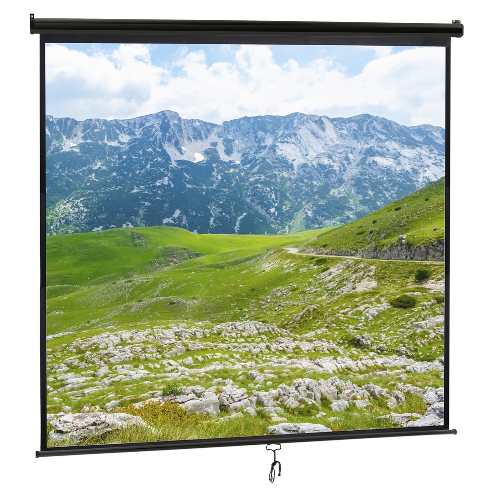120'' Projector Screen Projection Screen Manual Pull Down HD 1:1 Format Black