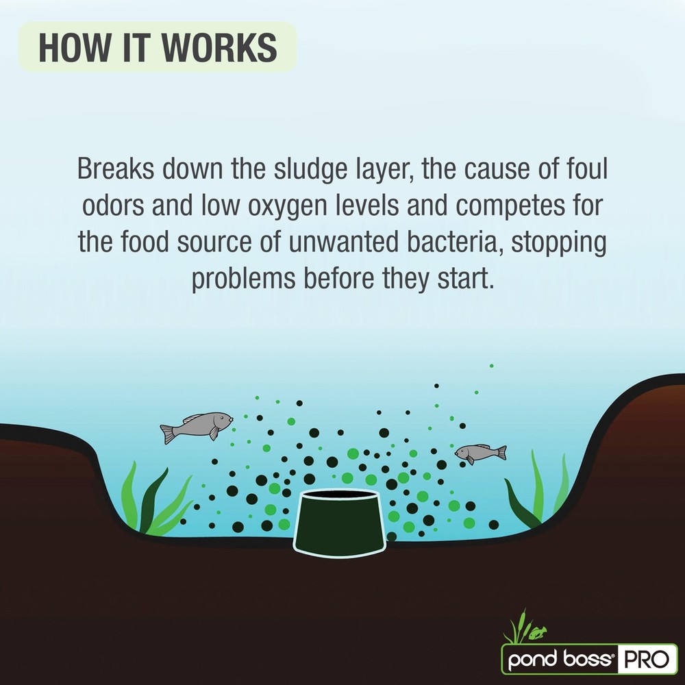 CBBPR5 Pro Block Bacteria, 5-Pound