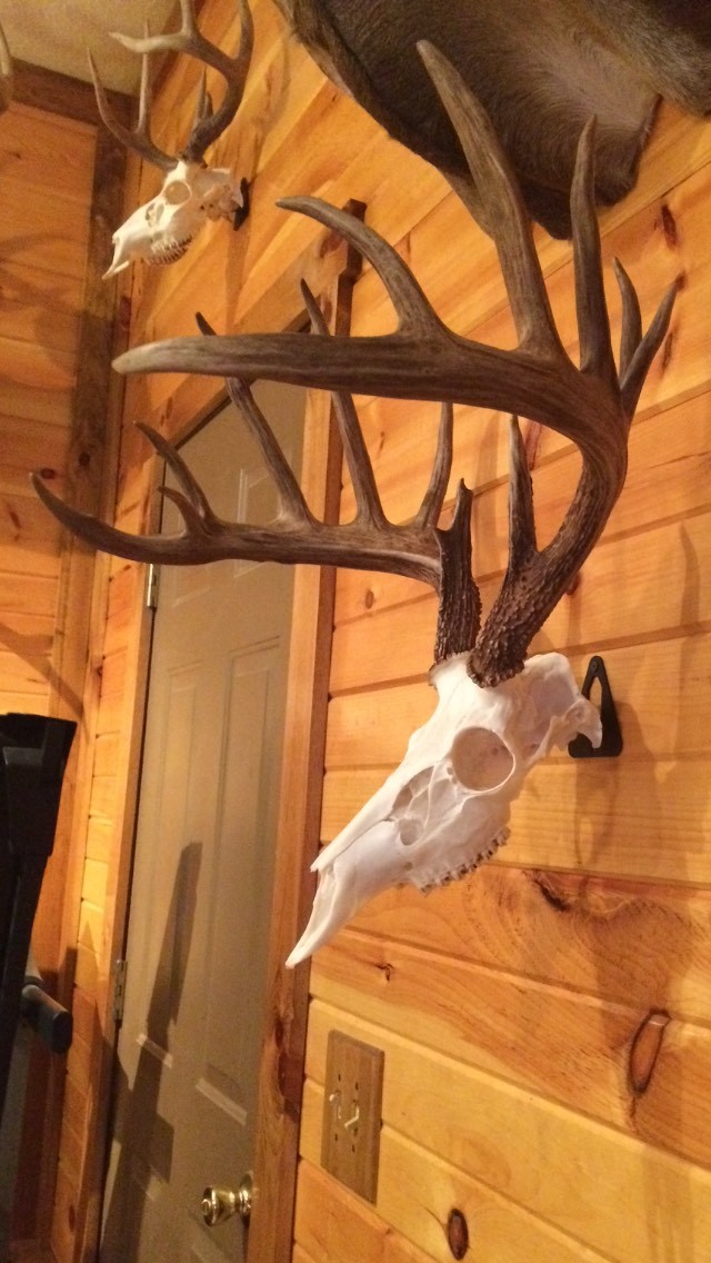 European Skull Mount Hanger *The EuroHanger* Deer Skull Hook