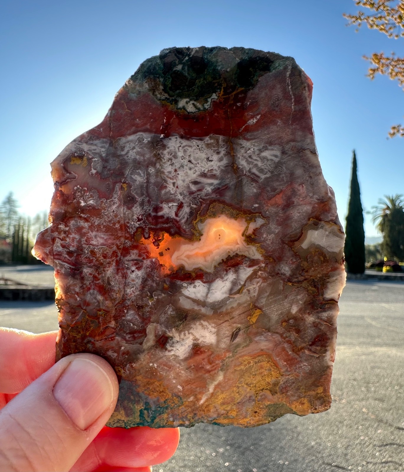 Moroccan Apple Valley Agate Slab, 3x4", Cabbing/Lapidary