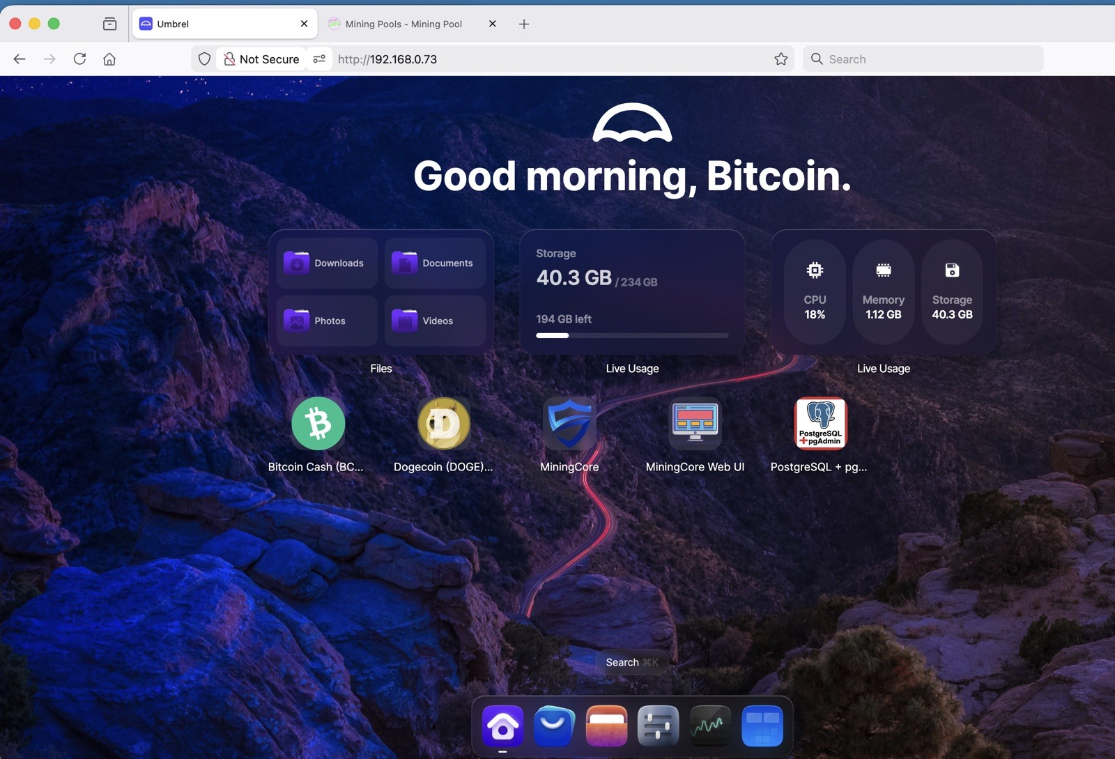 Industrial PC MS9818 Bitcoin Cash BCH & Dogecoin DOGE Full Node + NerdMiner