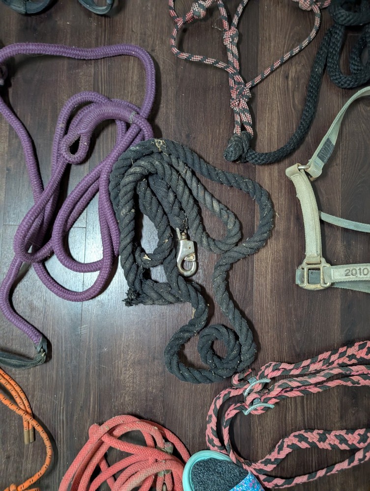 Large Tack Lot Over 30 Items!