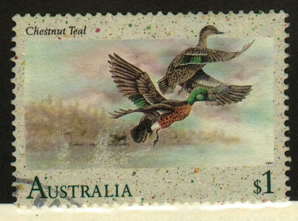 Australia #1206 used ducks