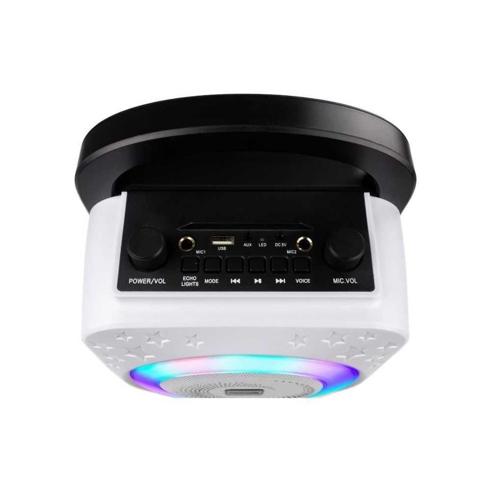 10-Watt Rechargeable Bluetooth Karaoke Machine with Two Mics Lightshow