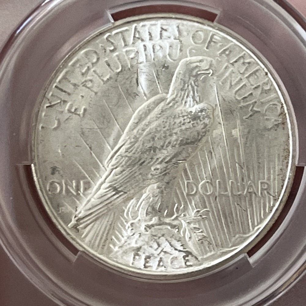 1934 D PEACE SILVER DOLLAR CACG MS62