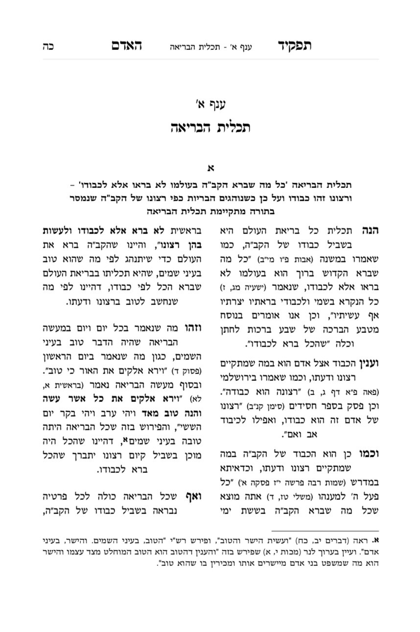 Sefer Tafkid Ha'adam By Rabbi Gilbert Backenroth ספר תפקיד האדם