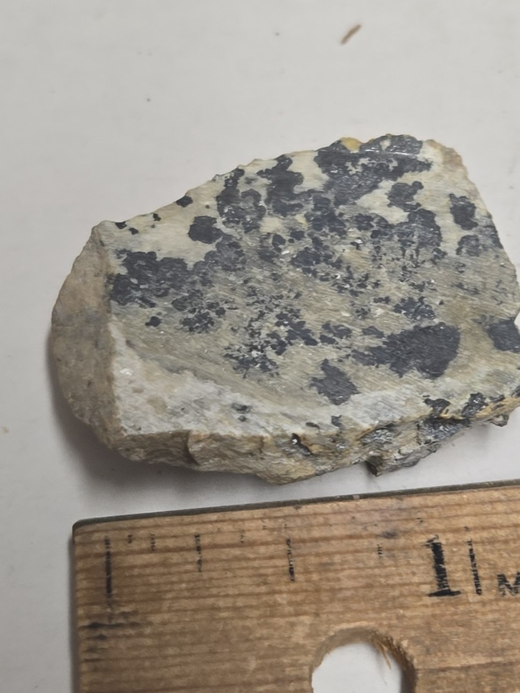 Beautiful Native Silver specimen