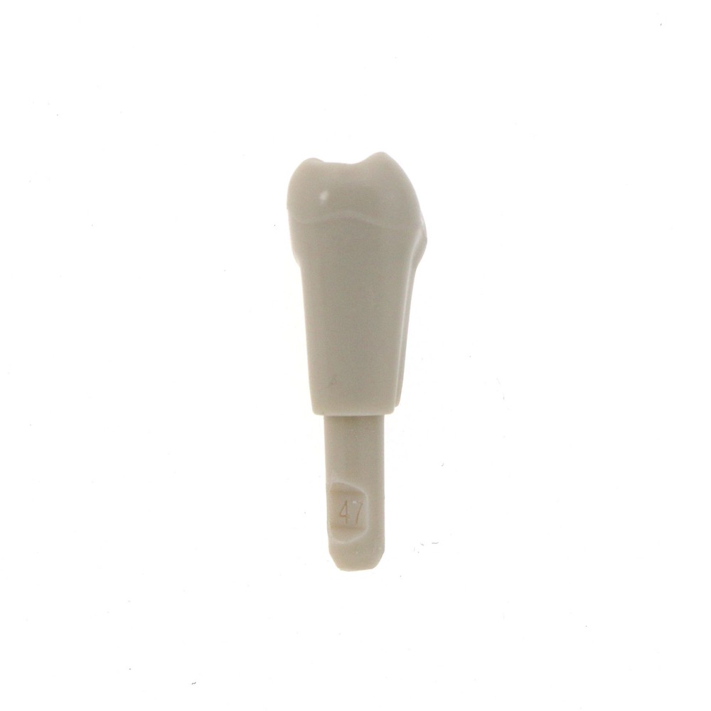 Dental 32 Pcs Tooth Model fit for KaVo Basic Model Teeth Retention Mechanism
