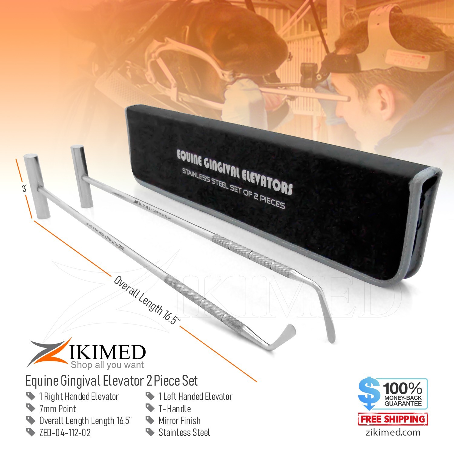 Equine Dental Gingival Elevator 2-pcs Set Stainless Steel 16.5" Long