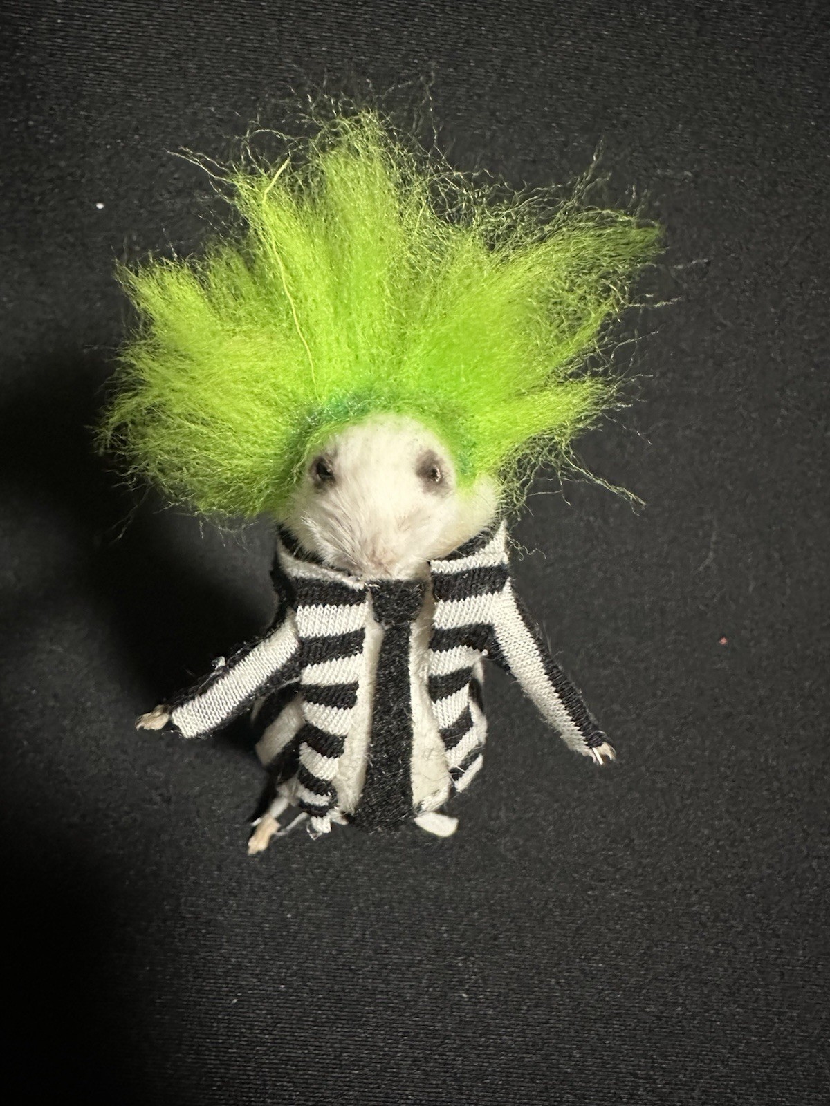 Taxidermy Mouse Beetlejuice Mouse Oddities Curiosities Taxidermy Art