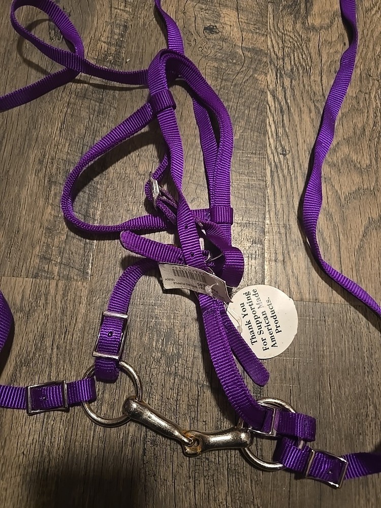 mini horse bridle