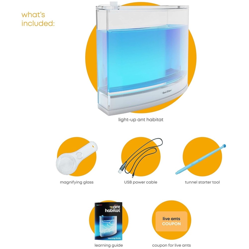Interactive LED Ant Habitat for Children