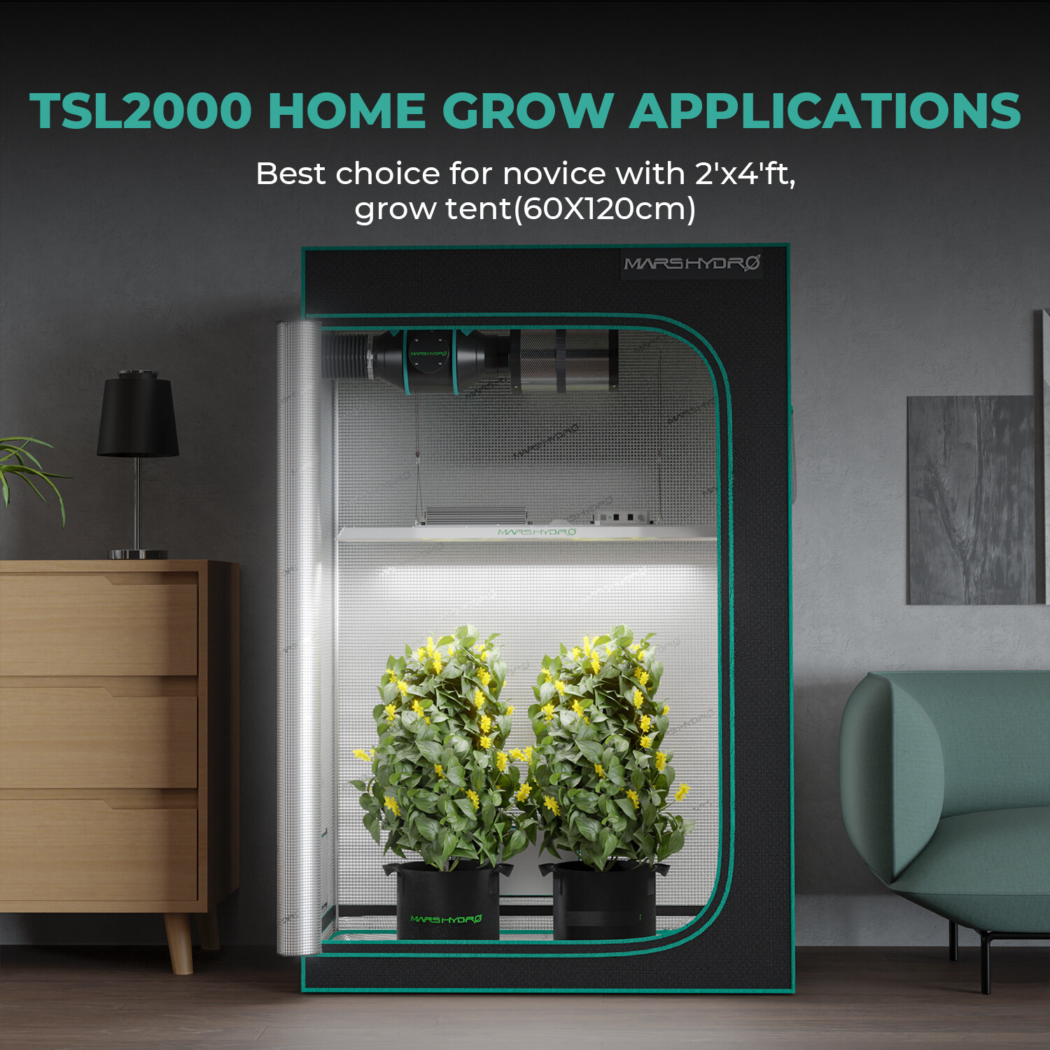 MARS HYDRO TS 1000 2000 3000 FCE LED Grow Light Tent Kits/Carbon Filter/Duct Fan