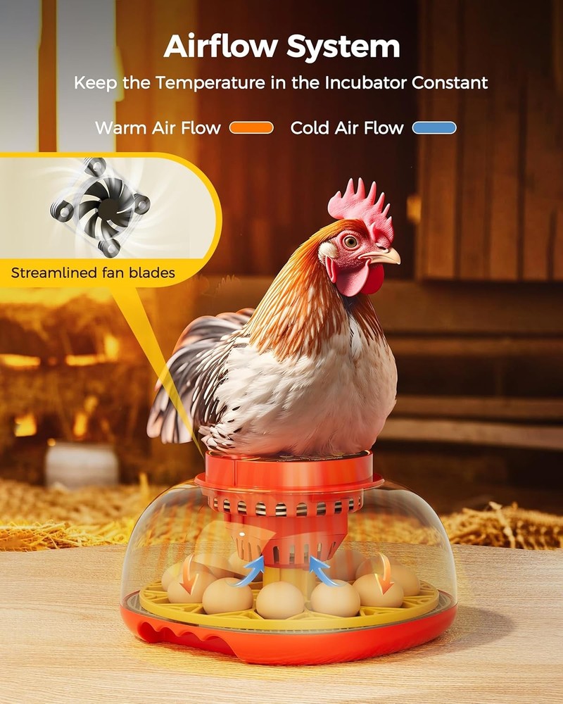 Automatic Egg Incubator with Digital Temperature Humidity Control Thermostat