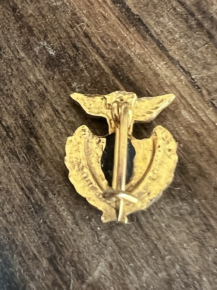 Vintage Patriotic Eagle & Shield Enamel Screwback Lapel Pin