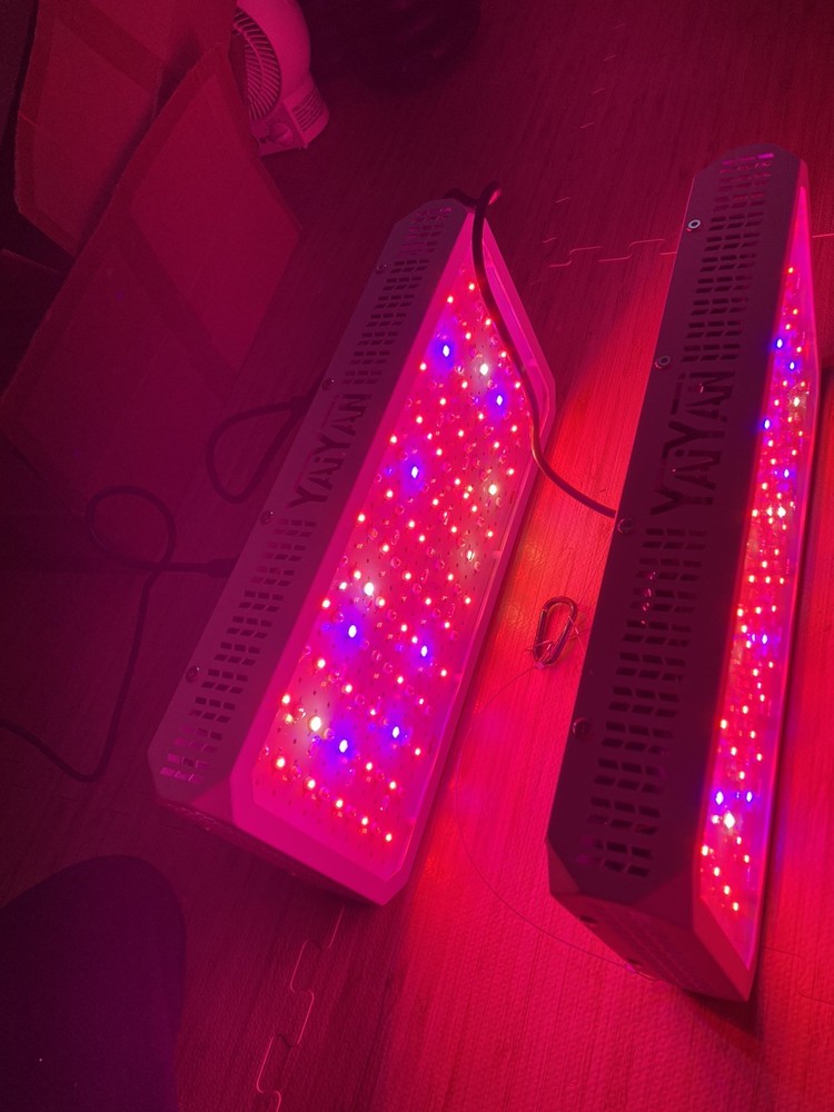 Full Spectrum Led Grow Light