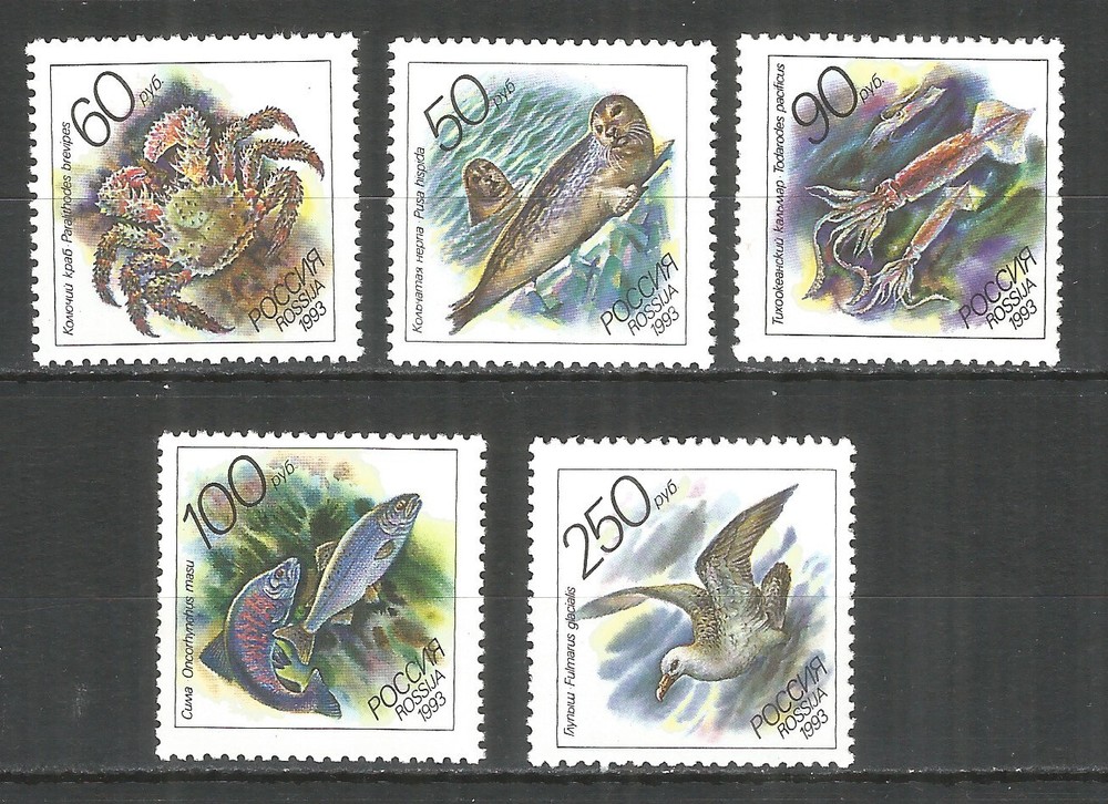 Russia 1993 stamps mint MNH -  fauna marine