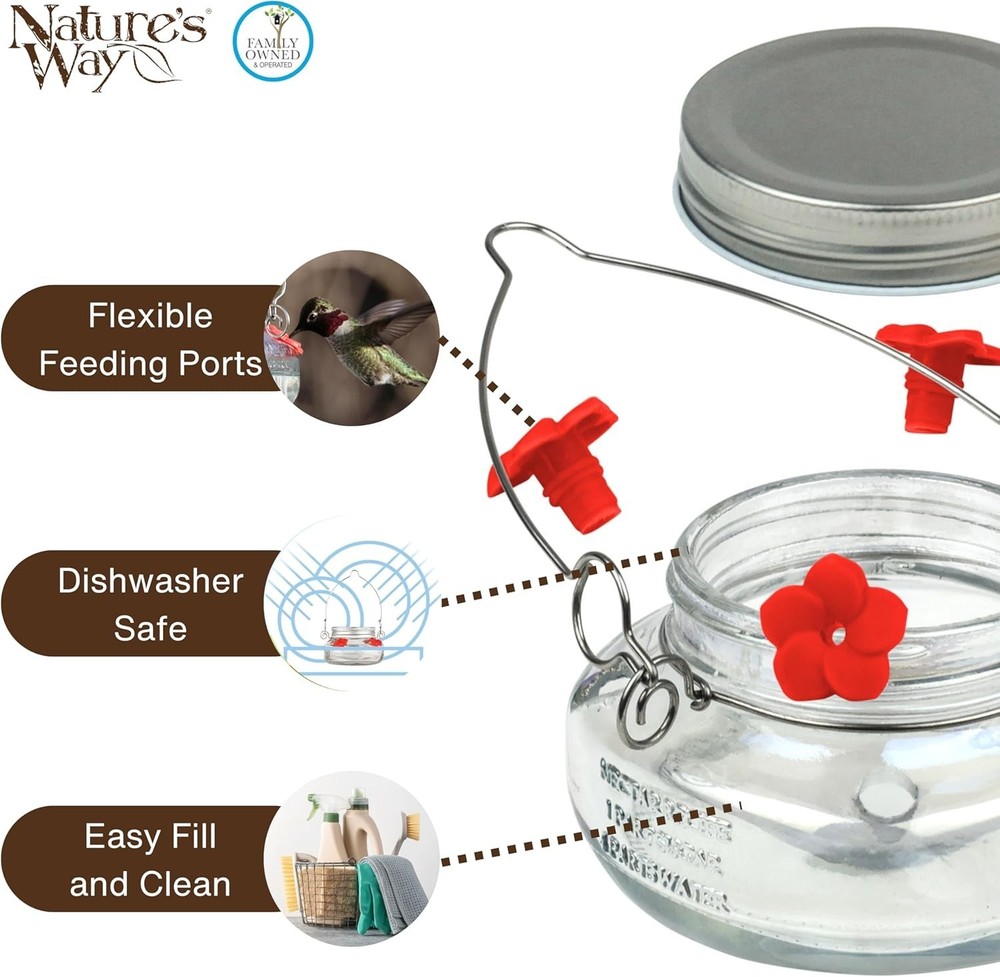 Mason Jar Hummingbird Dish Feeder, Clear
