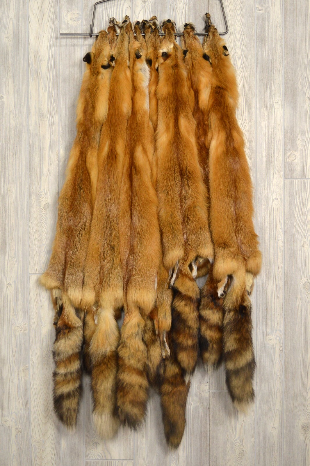 Tanned Red Fox Winter “Heavy Fur” Western Extra Large Premo (rfwhpremo)