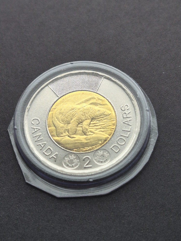 ***$2 CANADA TOONIE 2024 *** FROM MINT SETS ***