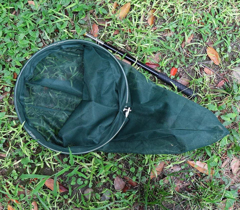 Professional Butterfly Net, 14" Ring, 26" Depth, 59-73" Telescopic Handle, Stain