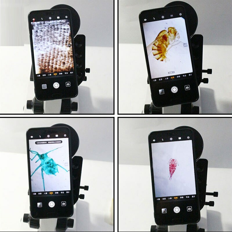 Glass Microscope Prepared Slides Set for Lab Biology Study 25PCS