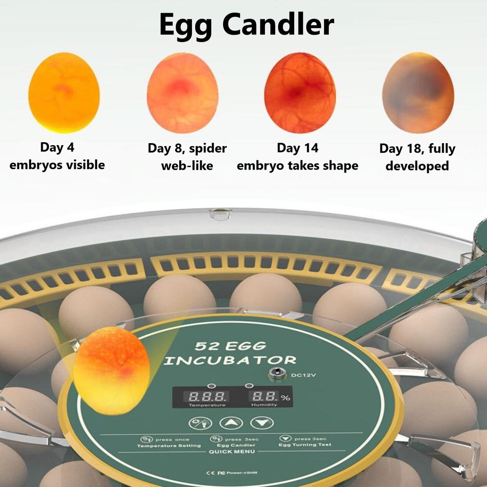 HBN 52 Egg Incubator with Automatic Egg Turning & Temperature Humidity Control