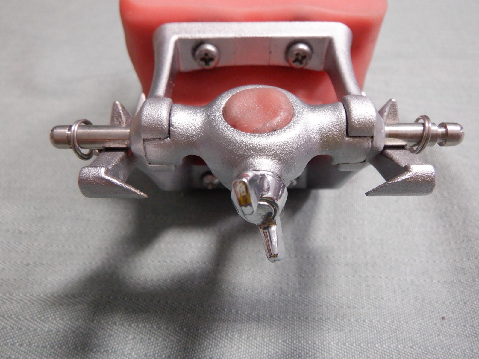 Nissin Typodont Dental Teeth