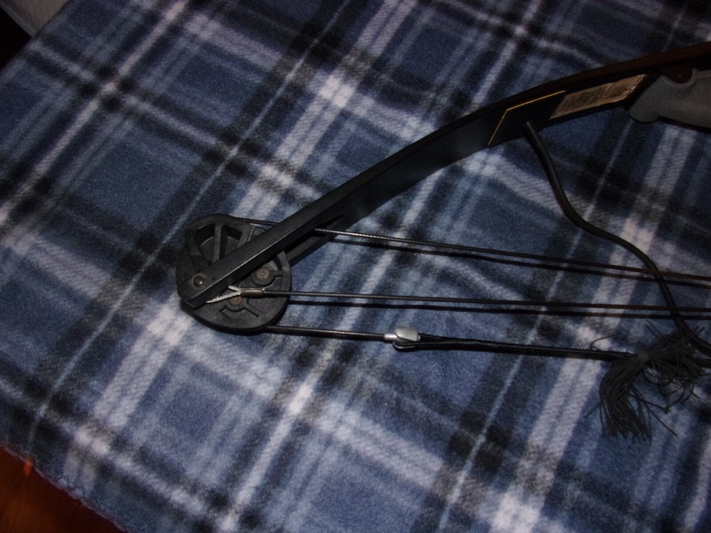 Vintage Darton 20MX Compound Bow