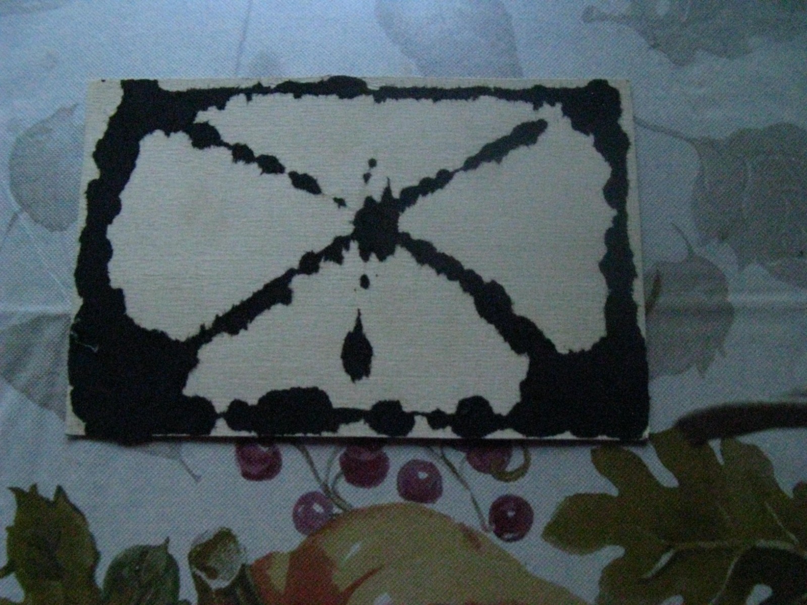 Early US Indian Wars Photo 4" X 6"