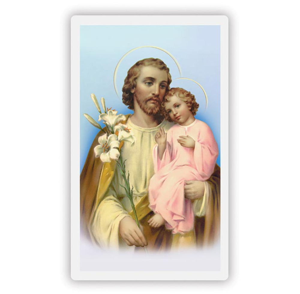 Tiger Eye St. Joseph One Decade Rosary with Laminated Prayer Card & Black Bag