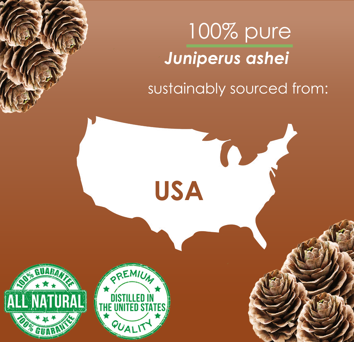 Cedarwood (Texas) Essential Oil 100% Pure Many Sizes Free Shipping