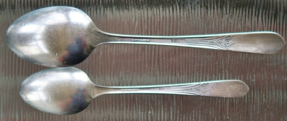 WM. ROGERS International DEVONSHIRE Soup SPOON & Teaspoon